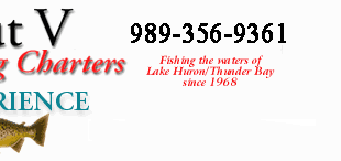 rogers city salmon fishing charter